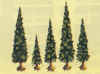 Fir trees