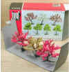 Flowering fruit trees